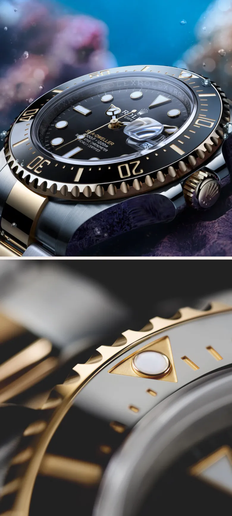 Rolex Sea-Dweller M126603-0001 a Ravenna e Faenza – Errani Gioielleria